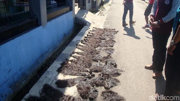 Proses pembuatan tambut palsu