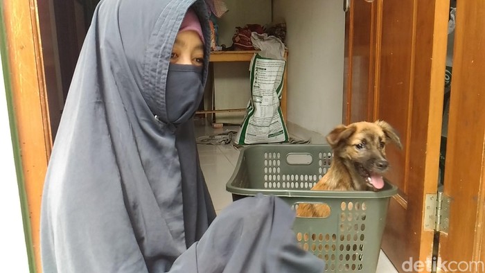 Ini Kata Hesti Wanita Bercadar Soal Liur Anjing Peliharaannya