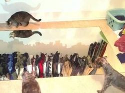 Potret Kocak Susahnya Jualan Cermin di Toko Online