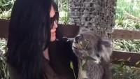Gemasnya Lee bertemu koala di Adelaide, Australia (kimlee/Instagram)