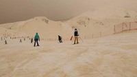 Meteorolog mengatakan fenomena itu disebabkan karena terjadinya badai di Gurun Sahara yang kemudian bercampur dengan salju dan hujan. (Foto: dok Margarita Alshina via BBC)