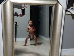 Potret Kocak Susahnya Jualan Cermin di Toko Online