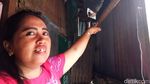 Foto: Ular Piton Tiba-tiba Muncul di Plafon WC Rumah Warga