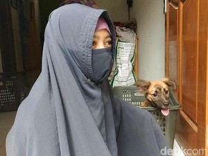 Kisah Hesti, Wanita Bercadar yang Kerap Menolong Anjing Malang