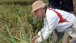 Potret Probosutedjo Semasa Hidup