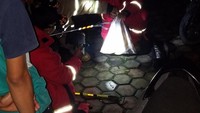 Satu regu Unit Penyelamat DKPB Kota Bandung berhasil menangkap seekor ular jenis kobra jawa ini. Proses penangkapan ular itu menggunakan alat Snake Hook Stick, Snake Tong Stick dan kantung evakuasi. (Foto: Dok.DKPB Kota Bandung).
