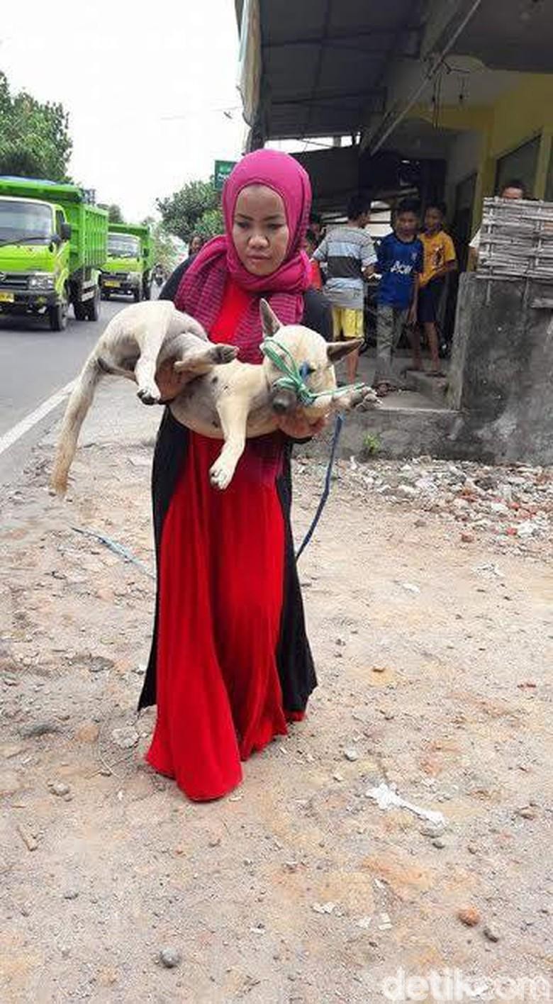 Desy Dan Hesti Wanita Berjilbab Dan Bercadar Pemelihara Anjing Desy Dan Hesti Wanita Berjilbab Dan Bercadar Pemelihara Anjing