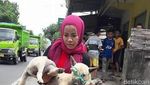 Desy dan Hesti, Wanita Berjilbab dan Bercadar Pemelihara Anjing