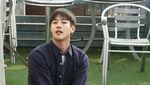 Kenangan Minwoo 100%, Si Tampan Penyayang Kucing