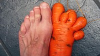  Ukuran wortel berbentuk kaki ini sama dengan kaki pria dewasa. Hanya saja bentuk jari-jari nya tidak beraturan. Foto: Stuart Boulton  