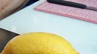 Ini pisang atau lemon? Kalau Anda menjawab pisang, Anda salah. Ini lemon. Lemon tapi bentuknya mirip pisang judulnya lemon yang tertukar. Foto: SombreroSC  