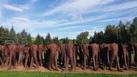 Patung logam ini dibangun pada tahun 2002 dalam rangka hari jadi ke- 750 Kota Poznan (mirogazso/Instagram)