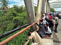 Ular Piton Hebohkan Warga Cibadak Sukabumi
