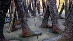 Foto: Patung Tanpa Kepala di Polandia, Unik atau Seram?