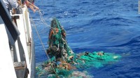 Studi yang dimuat dalam jurnal ilmiah Sceintific Reports itu menyebutkan sampah terakumulasi di lima area di lima samudera. Area terbesar ada di antara Hawaii dan California. (Foto: Dok. The Ocean Cleanup via CNN)