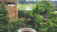 Lagi-lagi kopi! Ini secangkir kopi hitam milik Arifin yang dinikmati pagi hari. Indah ya pemandangan sawah di belakangnya? Foto: Instagram arifinputra_