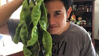 Siapa sih yang tidak kenal dengan aktor tampan yang satu ini. Ternyata Vino G Bastian doyan pete. Lihat saja foto dirinya menggengam pete ini! Foto: Instagram @vinogbastian 
