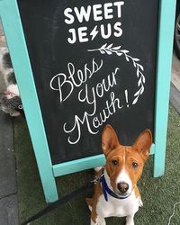 Pakai Nama 'Sweet Jesus' Gerai Es krim Ini Dikecam Umar Kristen Kanada