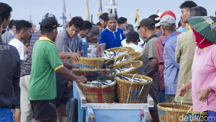 Ratusan nelayan Teluk Semaka, Lampung, memanen hasil tangkapan mereka hasilnyapun langsung dijual di Dermaga itu.