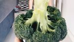 Ah, Lucunya Gadis Kecil Ini Pose dengan Baju dari Sayur dan Buah-buahan!
