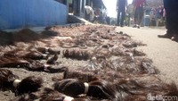 Usai mendapatkan bahan baku dari para pengepul di berbagai kota, biasanya rambut tersebut harus dijemur dahulu karena sangat riskan dan mudah rusak.