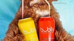 Bikin Gemas! Begini 12 Gaya Anjing Maltipoo Saat Ngopi hingga Minum Wine