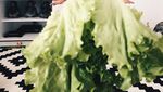 Ah, Lucunya Gadis Kecil Ini Pose dengan Baju dari Sayur dan Buah-buahan!