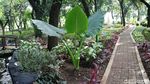 Foto: Asrinya Taman Monas