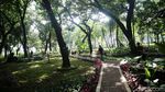 Foto: Asrinya Taman Monas