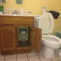 Konsep kamar mandi ini terlampau unik. Sepertinya pemilik rumah tak ingin tisu toiletnya cepat habis sehingga disembunyikan dalam lemari. Foto: Instagram @pleasehatethesethings