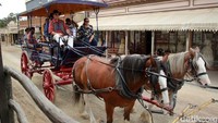 Jika malas jalan, pengunjung juga bisa coba menaiki delman gratis yang disediakan pengelola. Apabila tertarik jadi penambang emas sehari, harga tiket masuk Sovereign Hill untuk satu orang dewasa adalah AUD 55,50 atau sekitar Rp 588 ribu (Randy/detikTravel)
