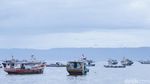 Panen Ikan di Teluk Semaka, Lampung