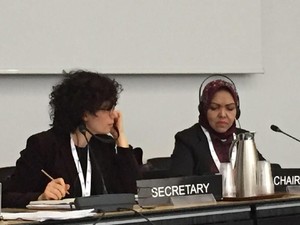 Di Sidang IPU Jenewa, DPR RI Minta Resolusi Rohingya Dieksekusi