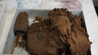 Para peneliti sekarang menggunakan teknologi ilmiah terbaru untuk mengumpulkan sebuah misteri kuno. (Foto: Dok. ABC Australia Plus)