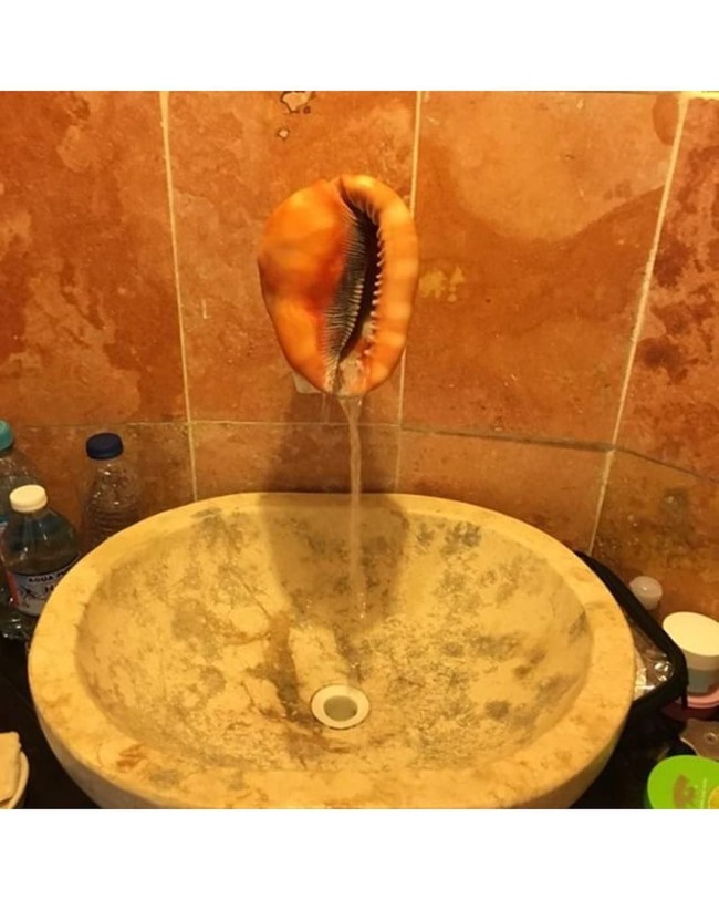 Anda yang bosan dengan keran biasa mungkin bisa menggantiya dengan kerang. Foto: Instagram @pleasehatethesethings