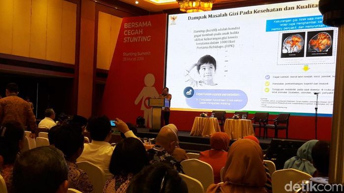 Menteri PPN/Bappenas Bambang Brodjonegoro dalam pemaparan di acara Stunting Summit (Foto: Marlinda Octavia Erwanti/detikcom) Menteri PPN/Bappenas Bambang Brodjonegoro dalam pemaparan di acara Stunting Summit (Foto: Marlinda Octavia Erwanti/detikcom)