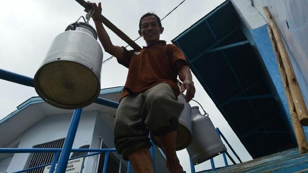Kampung Susu Kalipucang, Paket Lengkap Wisata di Pasuruan
