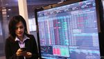 Danareksa Investment Targetkan Kelola Dana NAB Rp 35 T