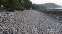 Pantai Pidakan kawasan pesisirnya bukan hamparan pasir putih, tapi batu-batu kerikil besar (Brigida Emi Lilia/dtraveler)