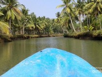 Kali Cokel Pacitan, Wisata Sungai Hijau yang Bikin Serasa di Amazon