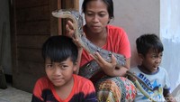 Selama ini Lusi dikenal warga sebagai pawang ular. Sudah 20 tahun jadi pawang ular, kata Lusi. (Foto: Wisma Putra/detikcom).