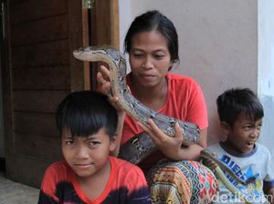 Foto: Lusi Neng Kobra, Sang Pawang Ular dari Bandung