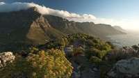 Table Mountain di Afrika Selatan. Di sinilah terlihat lautan luas yang merupakan pertemuan antara Samudera Hindia dan Samudera Atlantik (BBC)