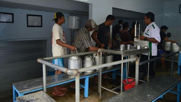 Kampung Susu Kalipucang, Paket Lengkap Wisata di Pasuruan