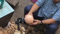 Ini aksi Fahri Hamzah ketika mengupas kelapa. Kelapa yang dikupas itu mau diolah jadi makanan Idul Fitri lho. Wah seru banget ya. Foto: instagram @fahrihamzah