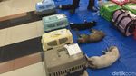 Foto: Petugas Medis Kebiri Puluhan Kucing Jantan di Jaktim
