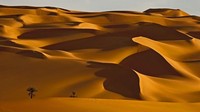 Great Sand Sea yang mencakupi bagian barat Mesir dan timur Libya, disebut-sebut sebagai tempat paling mematikan di Bumi (BBC)