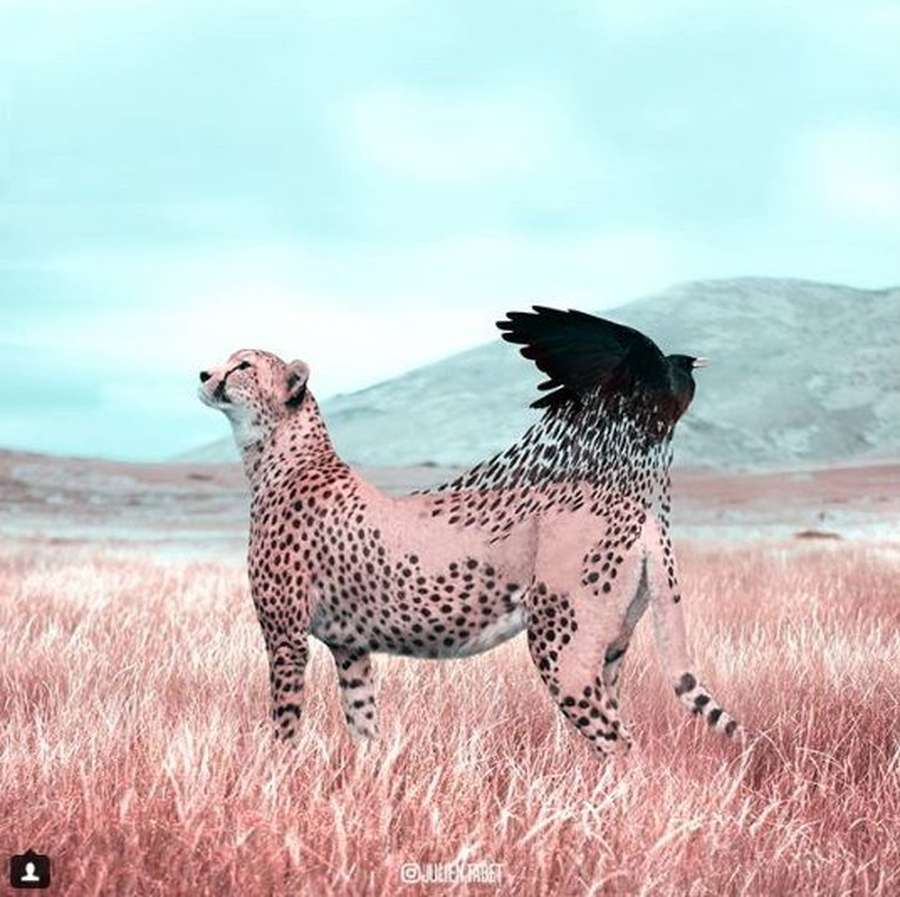 80 Gambar Keren Hewan HD Terbaik