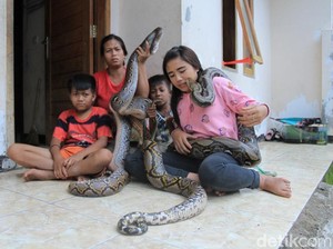 Lusi Neng Kobra dan Keluarga Hidup Bersama Si Amoy