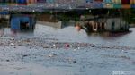 Sampah Berserakan di Danau Sunter Bikin Miris